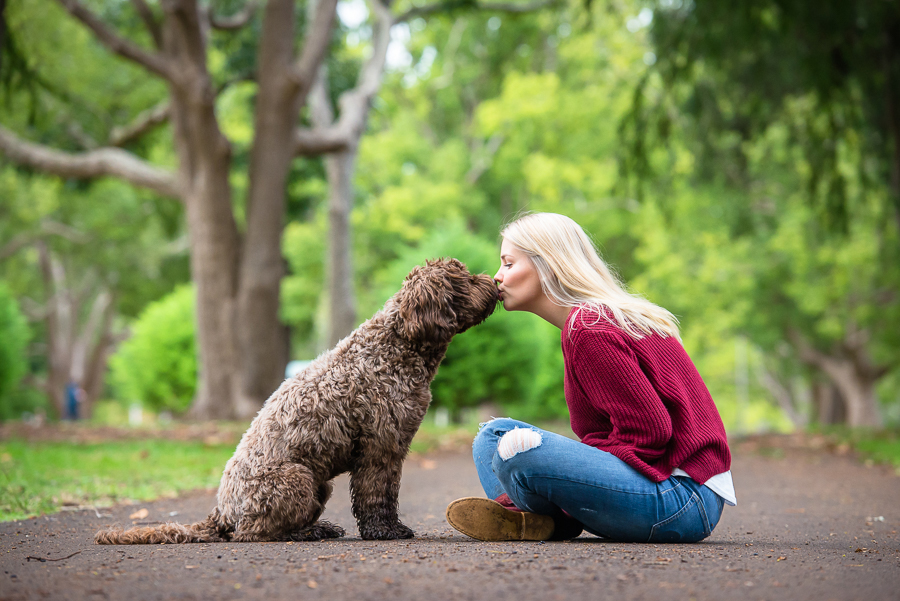 Henry the Labradoodle