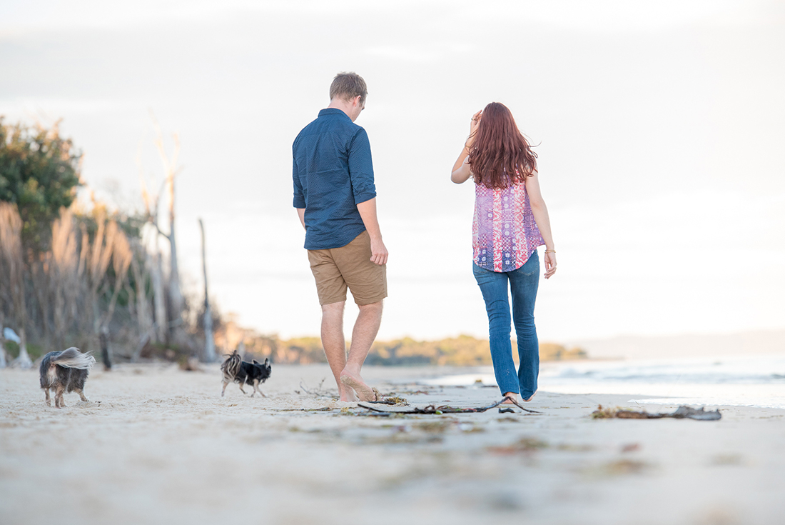 Couple and their Chihuahuas at the beach