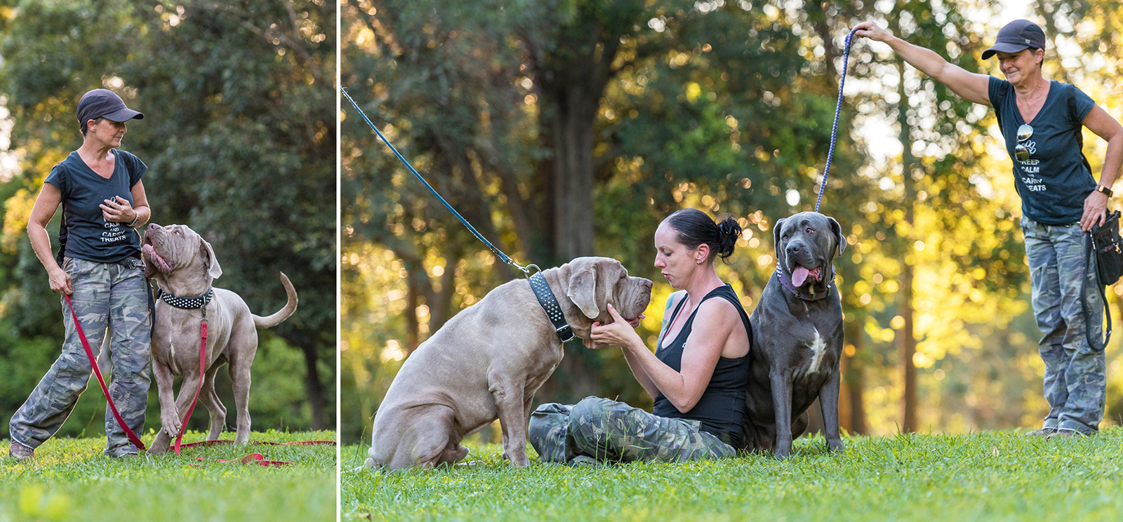 Kuda & Bear Funny Face Dogs Book Session