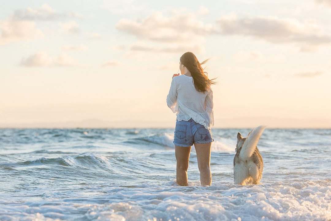 dog photographer brisbane sunshine coast